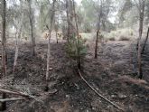 Extinguido un incendio forestal en las proximidades de la urbanización Montepinar en Murcia