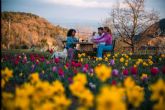 Sesiones de fotos en pareja y familia en Niudalia, el paraso de las flores