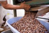 Paccari desvela mitos y leyendas sobre el chocolate