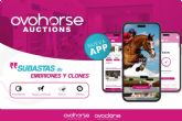 La App de subastas Ovohorse Auctions lanza un embrin de 'Chacco Blue'