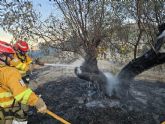 Conato de incendio forestal cerca de la Hurona, Molina de Segura