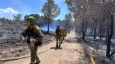 Controlado el incendio forestal declarado esta manana en el Monte Miravete, Murcia