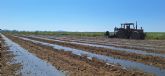 El campo se apunta a los plsticos BIO: la demanda se dispara en las ltimas campanas