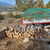 Acciones de control y eliminaci�n de plagas en los pinos del Castillo de Mula