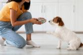 Comida saludable para perros de la mano de Dogfy Diet