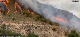 Incendio forestal en Ojós