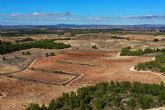 Pago de los Balagueses, un vino de pago que rinde culto a la ecología y la unicidad