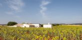 La Casa de Campo de Zafra de Zncara (Cuenca), Premio COACM Arquitectura Obra Nueva Vivienda