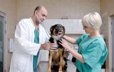 Vetformacin ofrece prcticas de auxiliar veterinaria para el prximo curso 2024-2025