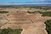 Pago de los Balagueses, la marca de vino de Bodegas Vegalfaro que est considerada como una obra maestra