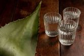 Maz Maya distribuye bebidas tpicas mexicanas de alta calidad como agua de Jamaica, mezcal y tequila