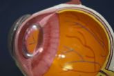 IOTT cuenta con tratamientos innovadores para casos de vista cansada, presbicia y cataratas