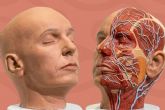 REALMED SIMULATORS; Pioneros en simulacin mdica esttica