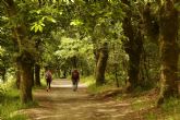 Camino de Santiago francés por Galicia, un viaje a través de la historia , cultura y tradición