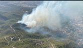 Incendio declarado en el paraje del Sequn, La Alberca