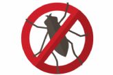 Exterminio de cucaracha de las cocinas con precio cerrado en Málaga, de la mano de DMR Control de Plagas