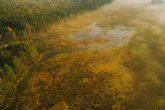 El encanto del otoño lituano: una sinfonía de colores y naturaleza viva