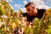 Vendimia DEMUERTE WINES, una cosecha de calidad excepcional