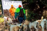 Cómo cuidar los perros de caza de cara a la nueva temporada, por Trofeo Caza