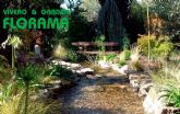 Diseño de jardines con Florama: belleza y sostenibilidad al alcance de todos