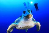 Lanzarote, uno de los mejores destinos para los amantes del buceo