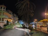 El temporal de viento y lluvia deja varios rboles, farolas y semforos cados