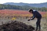 Bodegas Vegalfaro; vinos ecolgicos de alta calidad desde el corazn de Valencia