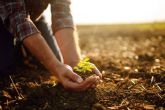 Plantaciones Agrícolas; nuevo directorio de empresas agrícolas para potenciar la visibilidad del sector