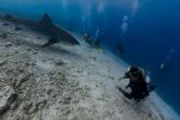 Rasdhoo y Fuvahmulah, un paraíso para buceadores en Maldivas