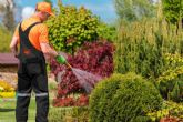 Jardinera profesional en Barcelona y provincia