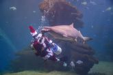 La magia de la Navidad llega a Palma Aquarium