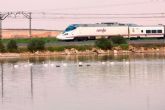 Transportes restablece el 16 de diciembre el tren entre Valencia y Alicante tras la DANA y reactiva el Euromed e Intercity entre Barcelona y Murcia