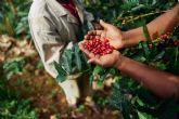 Máquinas de café superautomáticas; el secreto para potenciar el bienestar en empresas y oficinas