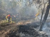 Incendio forestal declarado en el paraje Coto de los Cuadros, Murcia