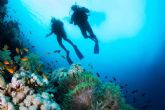 Buceo seguro con tiburones en el Mar Rojo; Desmitificando miedos y promoviendo la conservacin