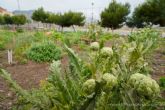 La Universidad Popular reinicia el trabajo en el huerto urbano de José María Lapuerta La Universidad Popular reinicia el trabajo en el huerto urbano de José María Lapuerta