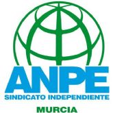 ANPE Murcia rechaza el calendario de adjudicaciones propuesto por la Consejería de Educación ANPE Murcia rechaza el calendario de adjudicaciones propuesto por la Consejería de Educación