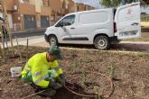 El Ayuntamiento de Cartagena mejora dos espacios verdes en Canteras con nuevas plantaciones y mejoras de riego El Ayuntamiento de Cartagena mejora dos espacios verdes en Canteras con nuevas plantaciones y mejoras de riego