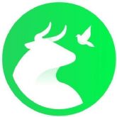 PACMA afea que López Miras fuerce a caballos para su cuadriga: 'Si quiere espectáculo, que tire él del carro' PACMA afea que López Miras fuerce a caballos para su cuadriga: 'Si quiere espectáculo, que tire él del carro'