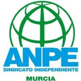 ANPE critica la saturación de opositores por tribunal ANPE critica la saturación de opositores por tribunal