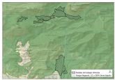 Parque Regional de Sierra Espuña: Trabajos de gestión forestal para rejuvenecimiento del bosque