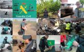 El SEPRONA de la Guardia Civil ha detenido o investigado a 44 personas por delitos medioambientales