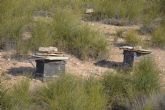 Medio Ambiente abre los montes públicos a los apicultores para favorecer la biodiversidad y la gestión sostenible del territorio Medio Ambiente abre los montes públicos a los apicultores para favorecer la biodiversidad y la gestión sostenible del territorio