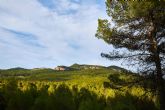 Mejorarn la biodiversidad de dos masas forestales ubicadas en el interior del Parque Regional de la Sierra de El Carche