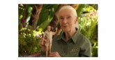 Barbie presenta a Barbie Jane Goodall, fabricada con plstico reciclado procedente del ocano