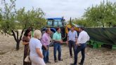 La Regin ser la tercera productora de almendra de España pese a las lluvias intensas de primavera y a la sequa