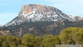 Se inician los trabajos selvcolas en Sierra Espuna para fortalecer, rejuvenecer y mejorar la biodiversidad forestal