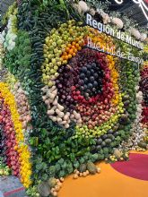 La Comunidad dona a una ONG los más de 2.000 kilos de frutas y hortalizas del jardín vertical deFruitAttraction