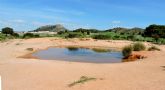 Un estudio de la UMU afirma que el 50% de la biodiversidad acutica se vera comprometida con la desaparicin de las charcas naturales