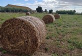 Las comarcas murcianas afrontan a partir de enero el reto del desarrollo rural